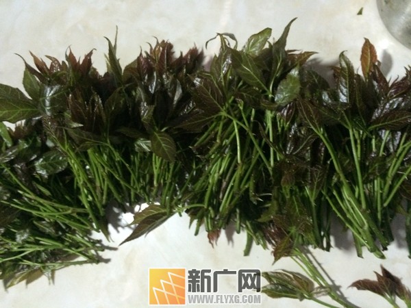 ����ɽéҰ��Ҳ�Ǻ��޵�