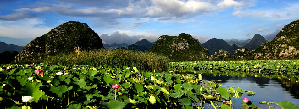 ���ѻ����ߺ��Լݻ�ζ֮�ÿ�ʼ���� ������ٳ�����