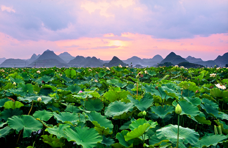 ���ӳ��ѻ�7-10���Լ���ϢԤ��